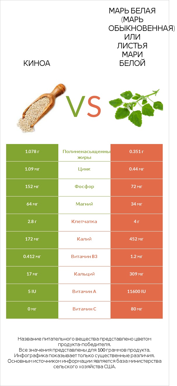 Киноа vs Марь белая (Марь обыкновенная) или Листья мари белой infographic