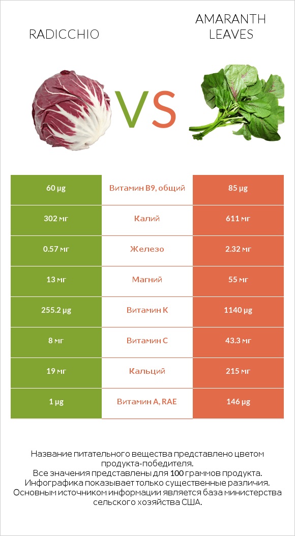 Radicchio vs Amaranth leaves infographic
