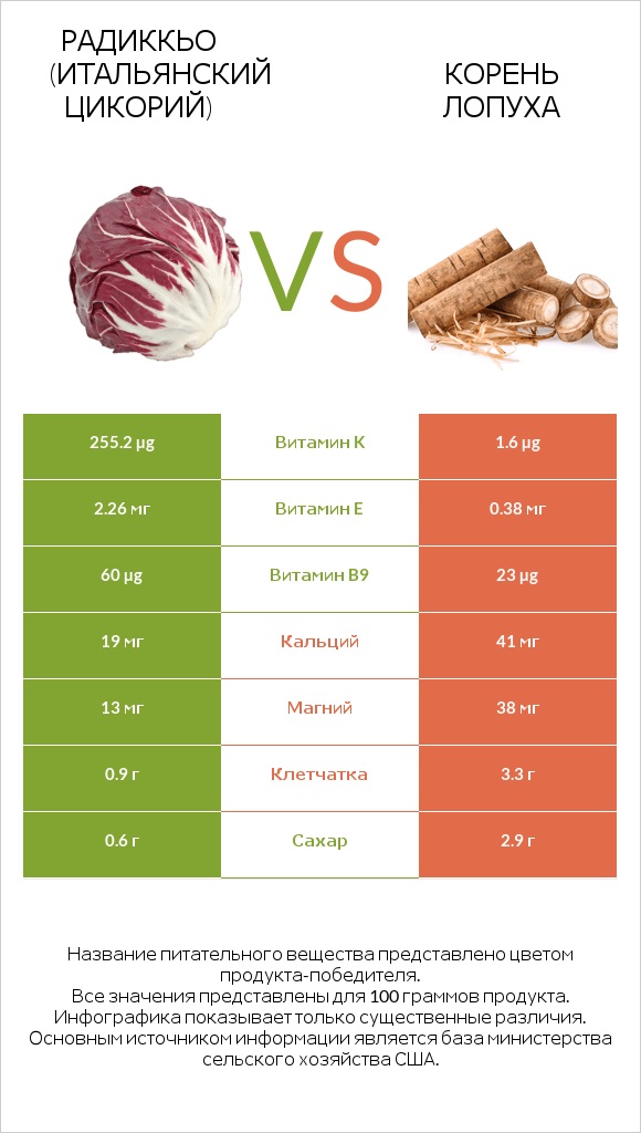 Радиккьо (итальянский цикорий) vs Корень лопуха infographic