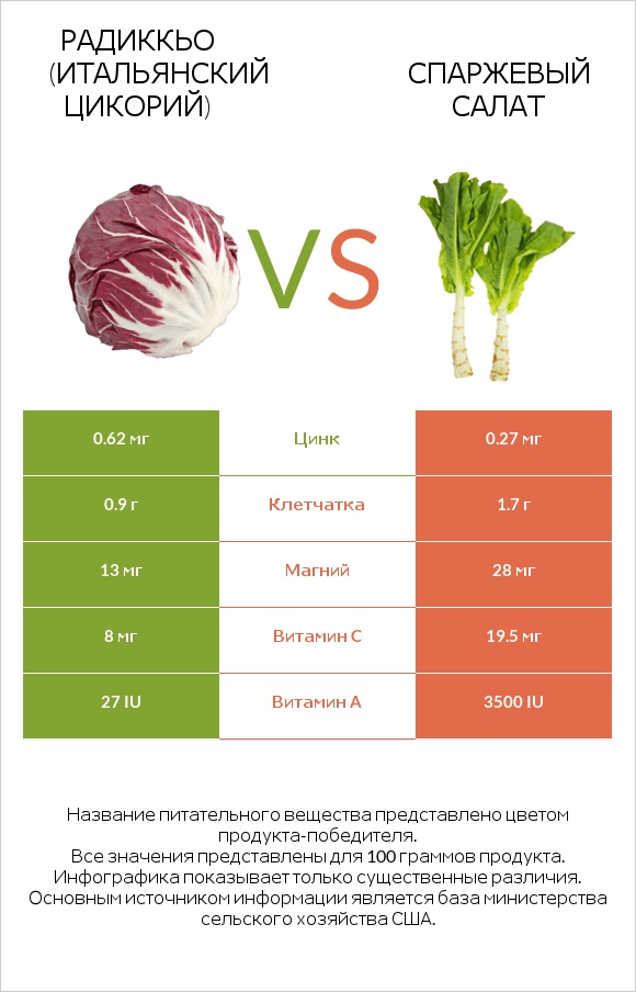 Radicchio vs Celtuce infographic