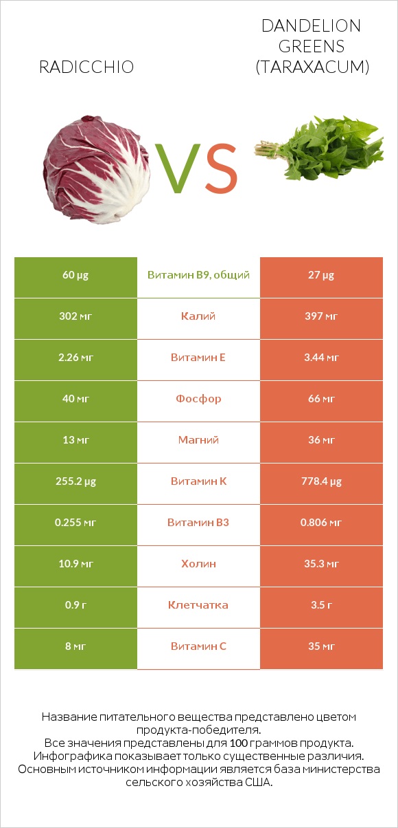 Radicchio vs Dandelion greens infographic