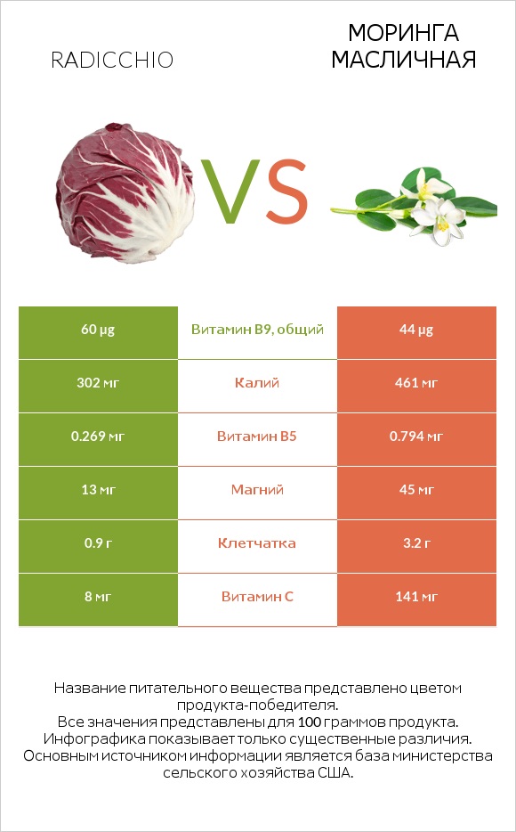 Radicchio vs Моринга масличная infographic