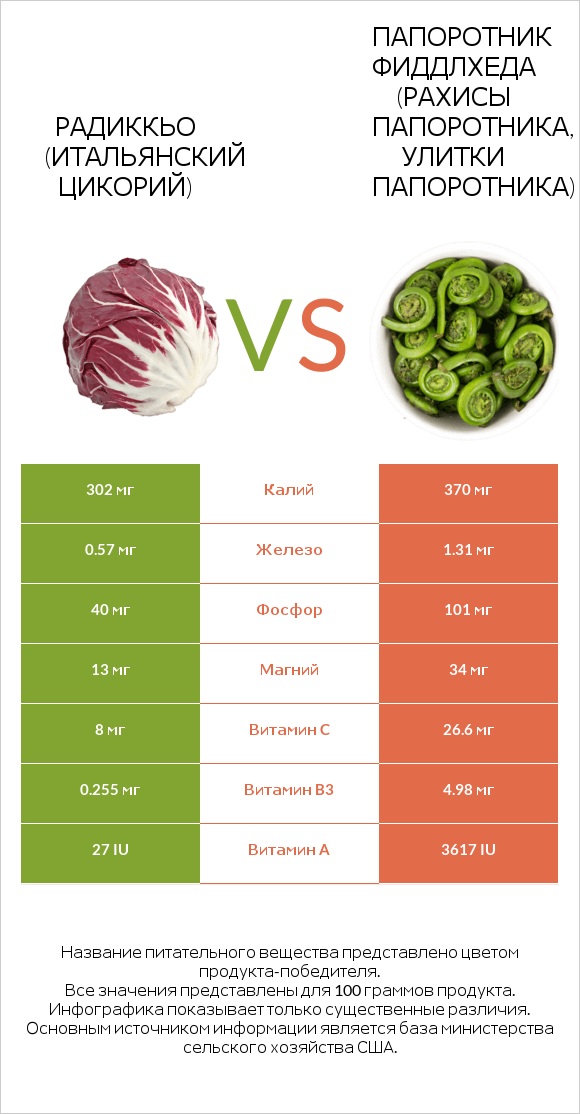 Radicchio vs Fiddlehead ferns infographic