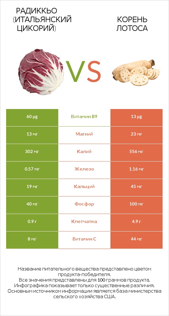 Радиккьо (итальянский цикорий) vs Корень лотоса infographic