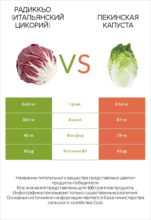 Radicchio vs Пекинская капуста infographic