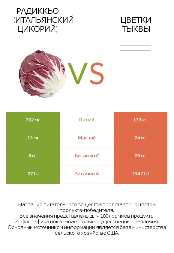 Radicchio vs Pumpkin flowers infographic