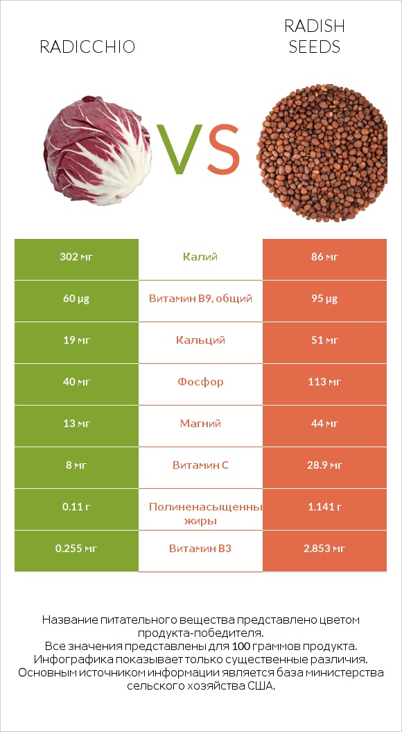 Radicchio vs Radish seeds infographic
