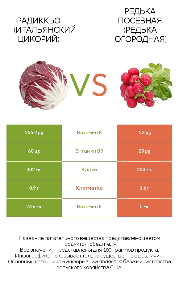 Радиккьо (итальянский цикорий) vs Редька посевная (Редька огородная) infographic