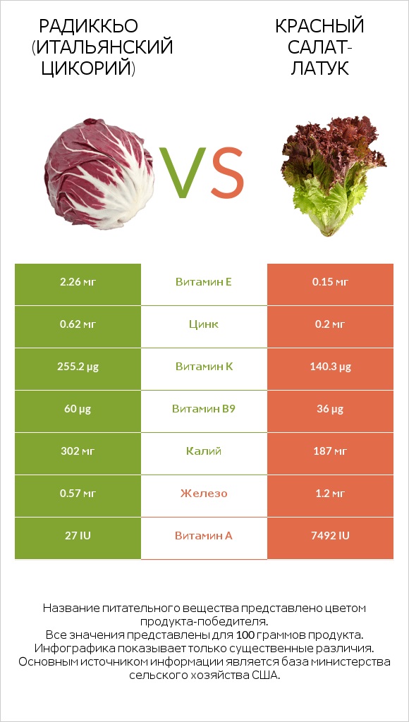 Radicchio vs Red leaf lettuce infographic