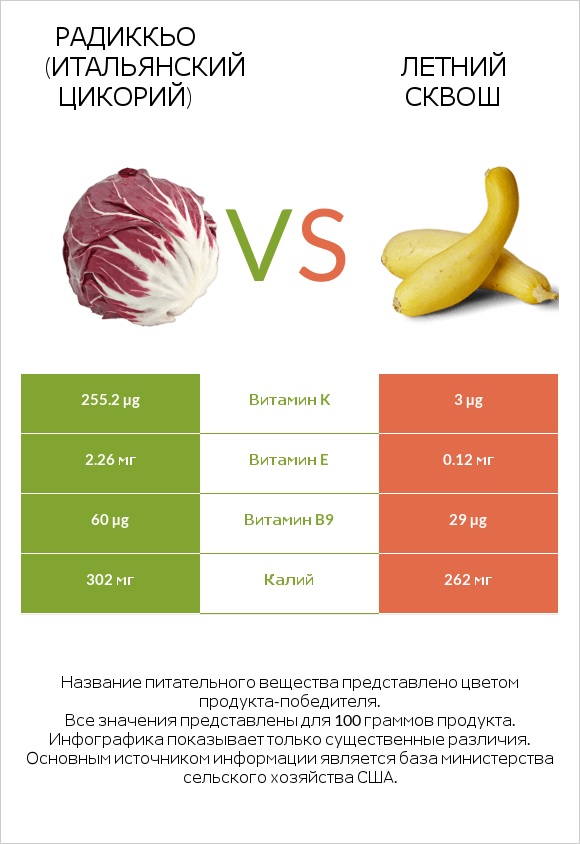 Радиккьо (итальянский цикорий) vs Летний сквош infographic