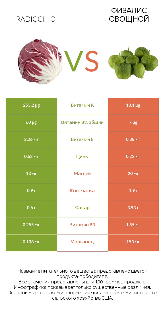 Radicchio vs Физалис овощной infographic