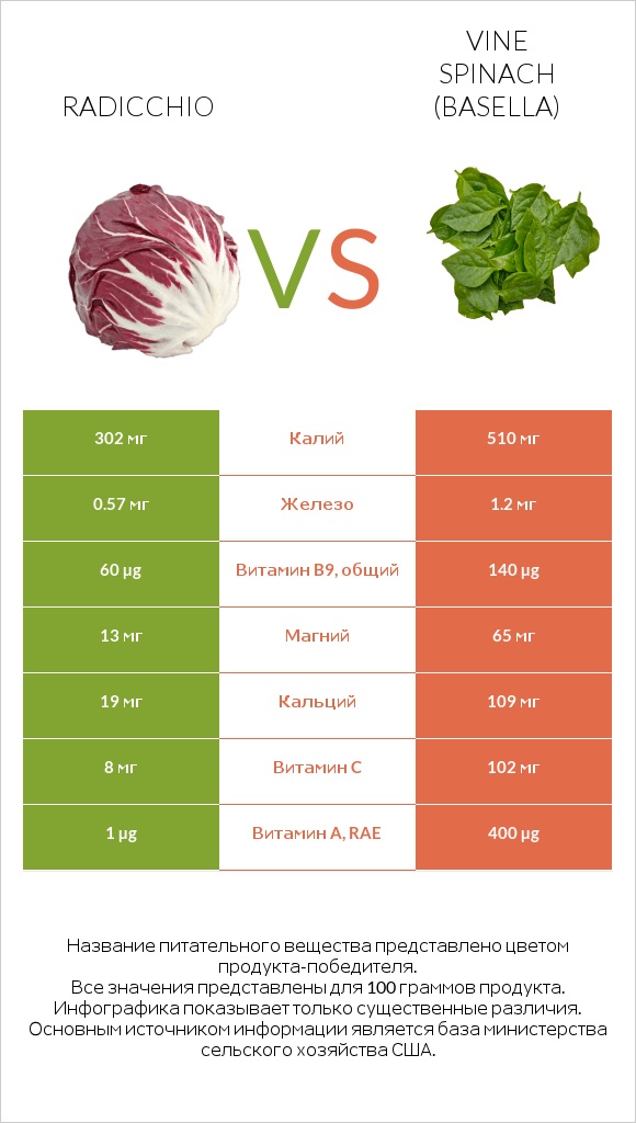 Radicchio vs Vine spinach (basella) infographic