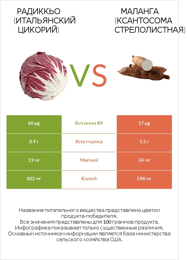 Радиккьо (итальянский цикорий) vs Маланга (Ксантосома стрелолистная) infographic