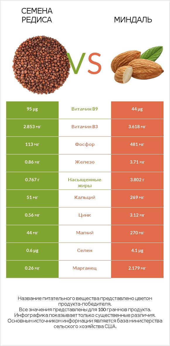 Семена редиса vs Миндаль infographic