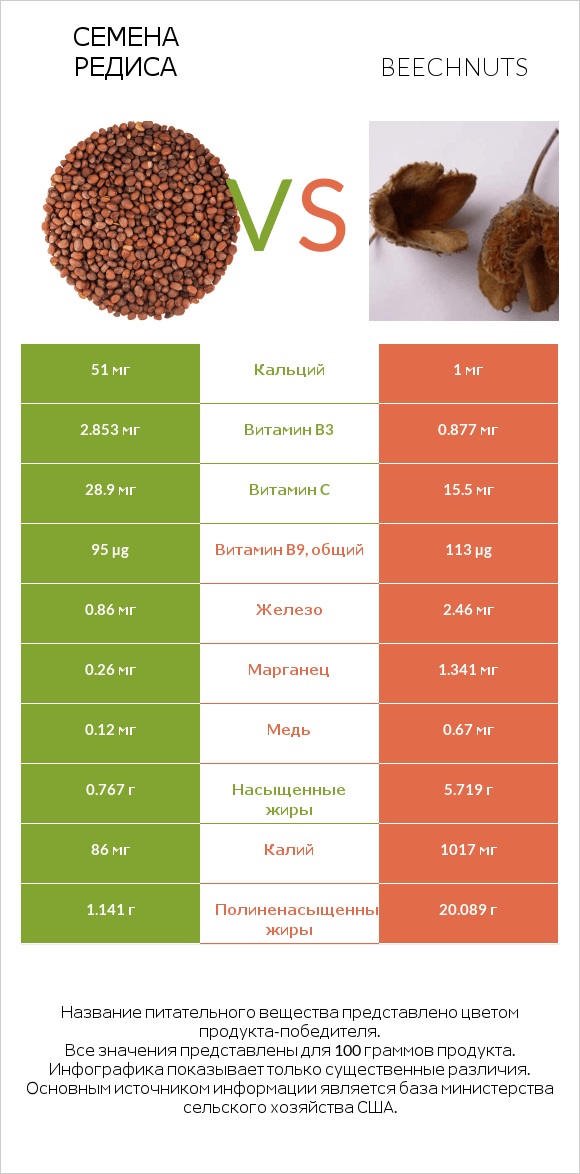 Семена редиса vs Beechnuts infographic