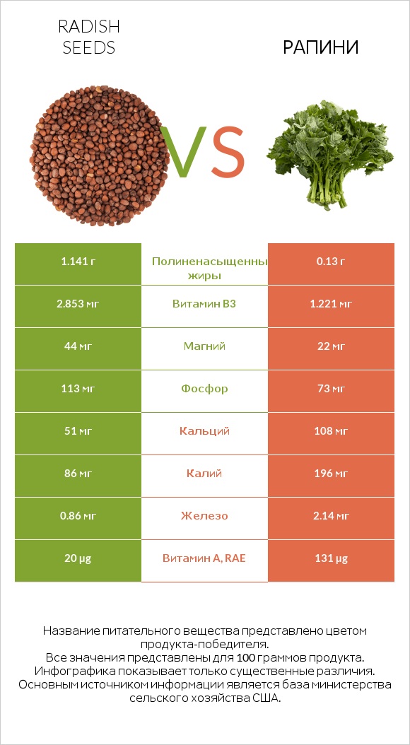 Radish seeds vs Рапини infographic