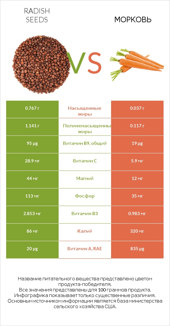 Radish seeds vs Морковь infographic