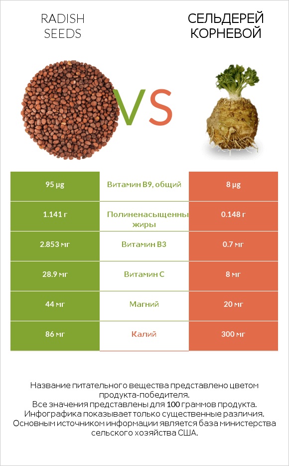 Radish seeds vs Сельдерей корневой infographic
