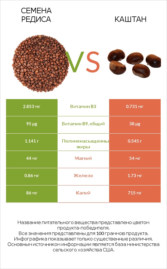 Семена редиса vs Каштан infographic