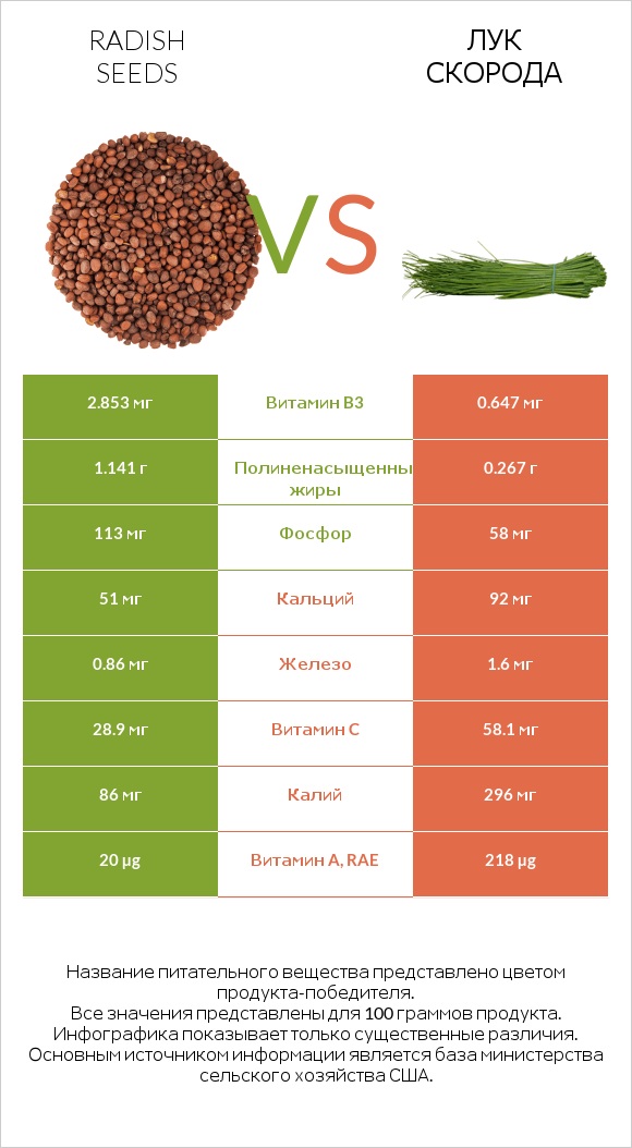 Radish seeds vs Лук скорода infographic