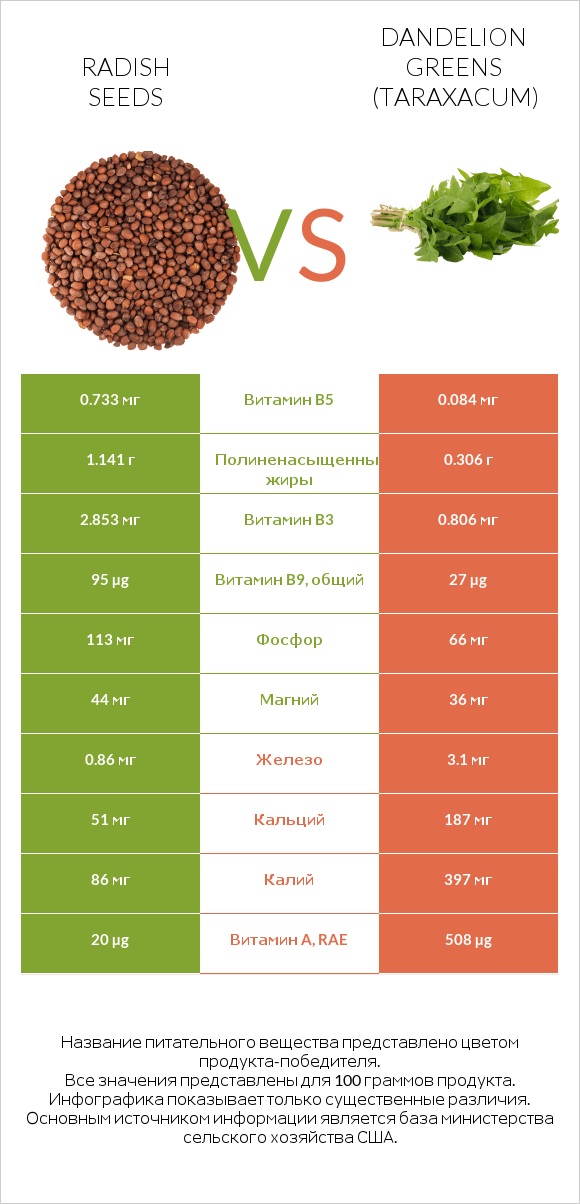 Radish seeds vs Dandelion greens infographic