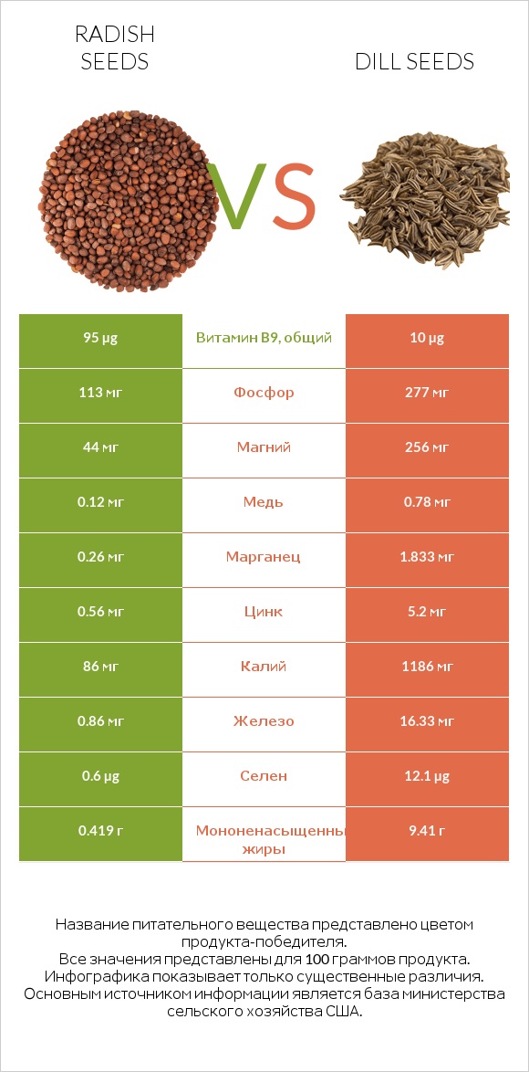 Radish seeds vs Dill seeds infographic