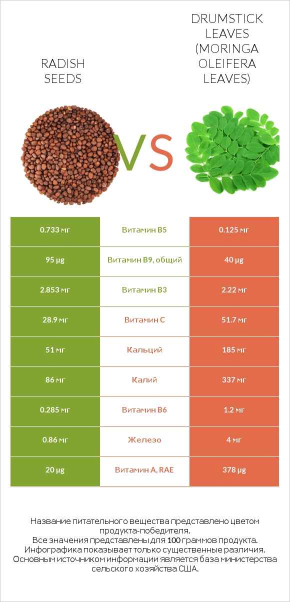 Radish seeds vs Drumstick leaves infographic