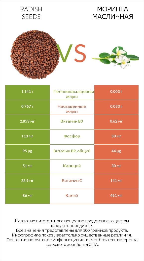 Radish seeds vs Моринга масличная infographic