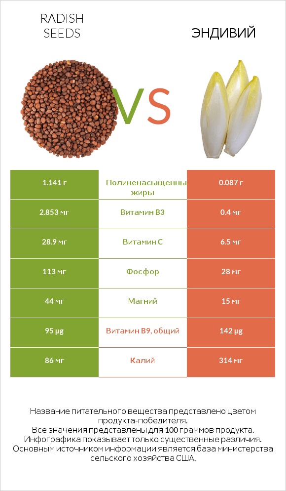 Radish seeds vs Эндивий infographic
