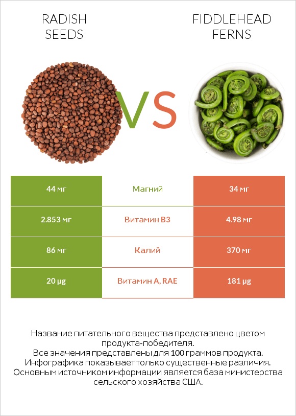 Radish seeds vs Fiddlehead ferns infographic