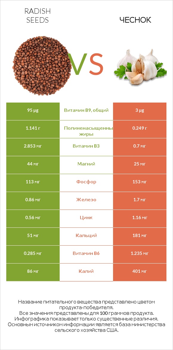 Radish seeds vs Чеснок infographic