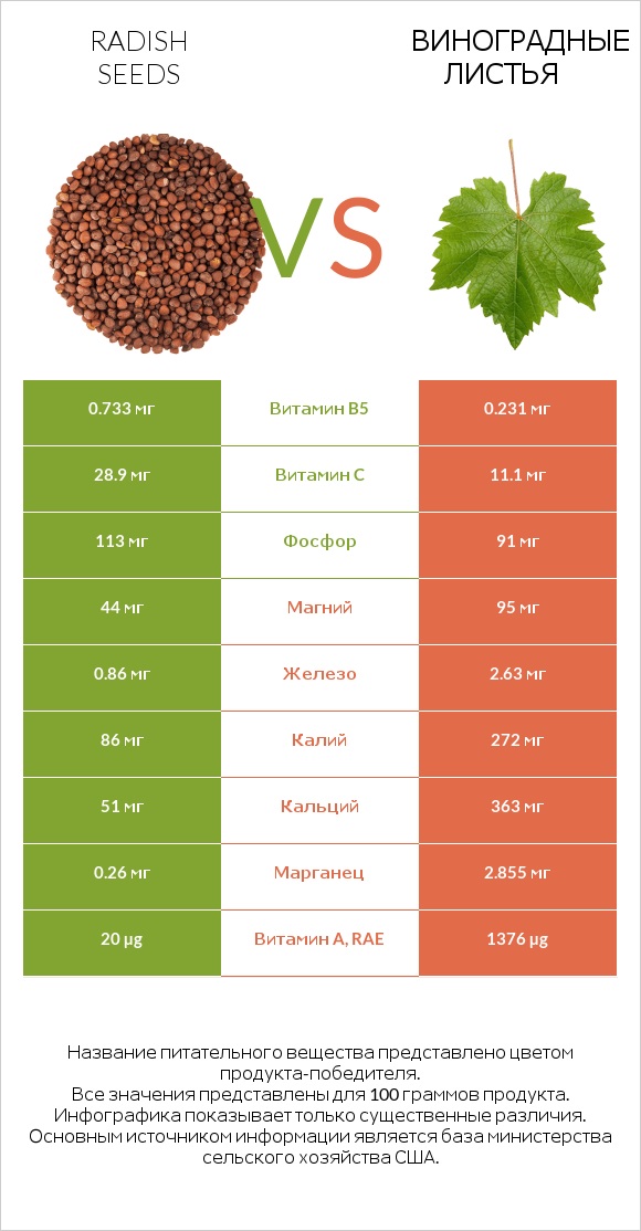 Radish seeds vs Виноградные листья infographic