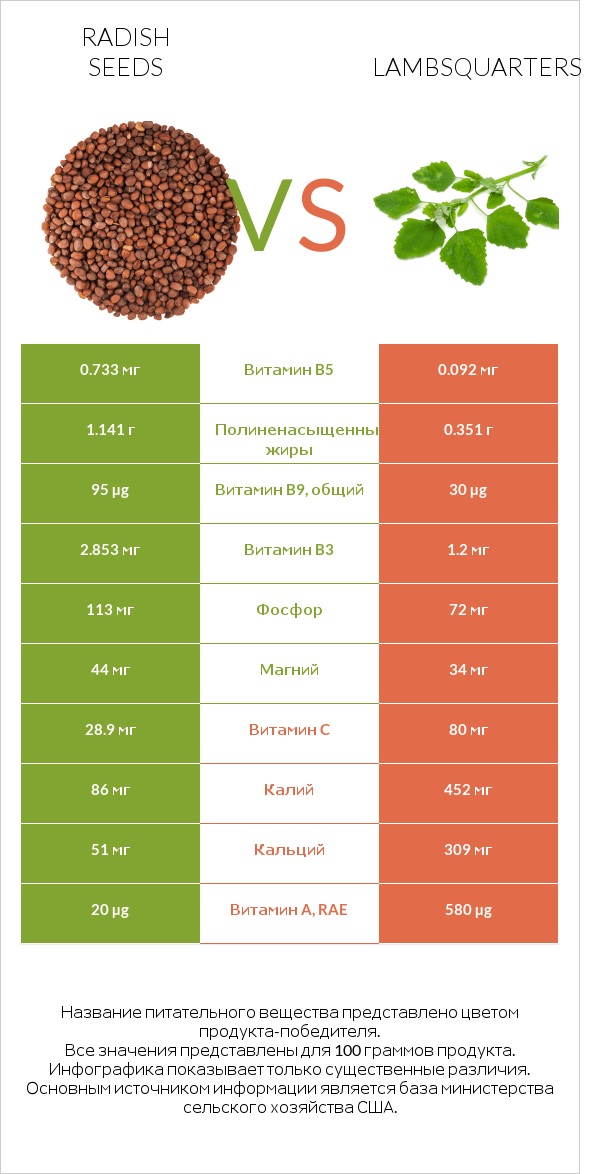 Radish seeds vs Lambsquarters infographic