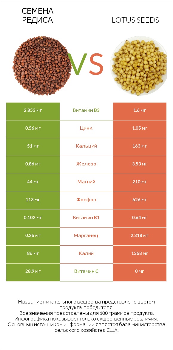 Семена редиса vs Lotus seeds infographic