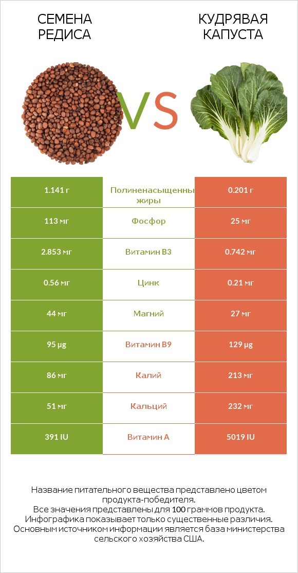 Семена редиса vs Кудрявая капуста infographic