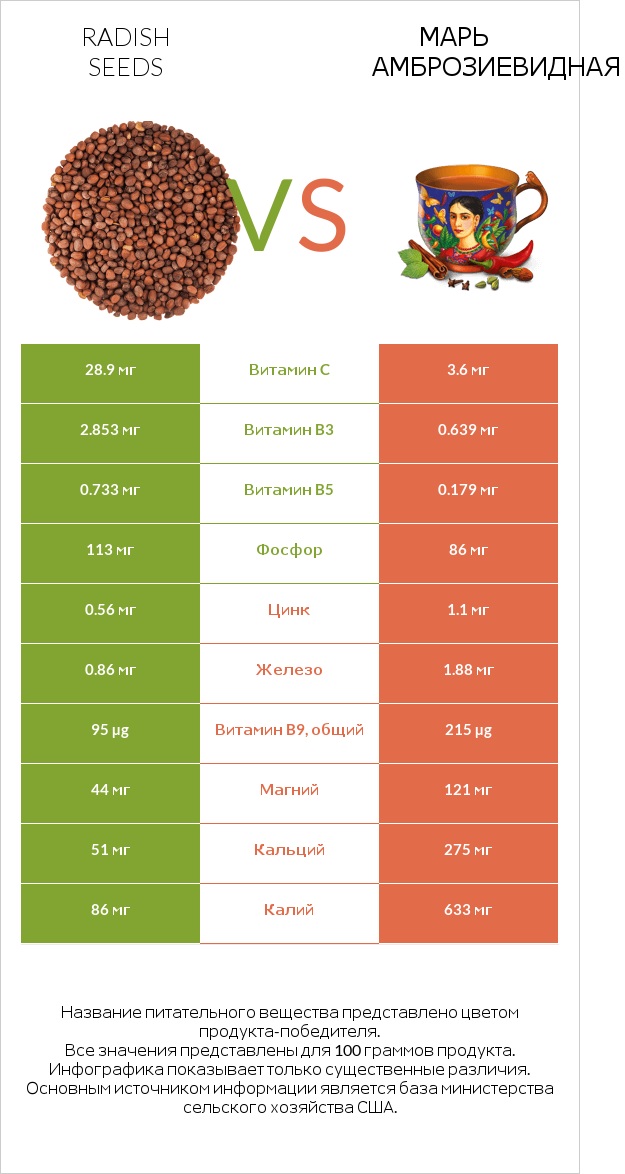Radish seeds vs Марь амброзиевидная infographic