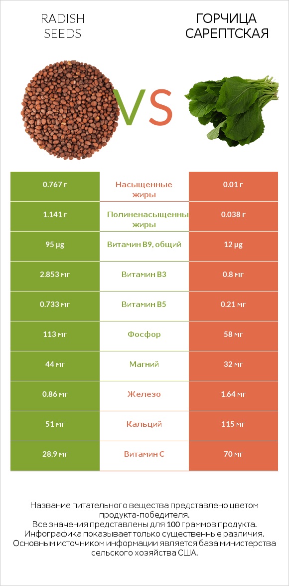 Radish seeds vs Горчица сарептская infographic