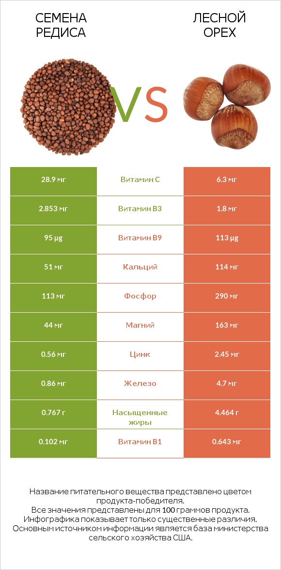 Семена редиса vs Лесной орех infographic