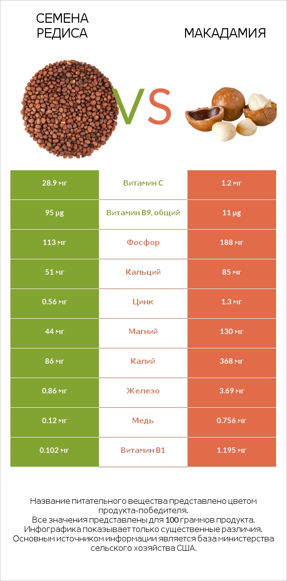 Семена редиса vs Макадамия infographic