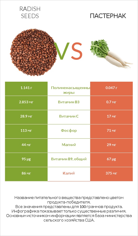 Radish seeds vs Пастернак infographic