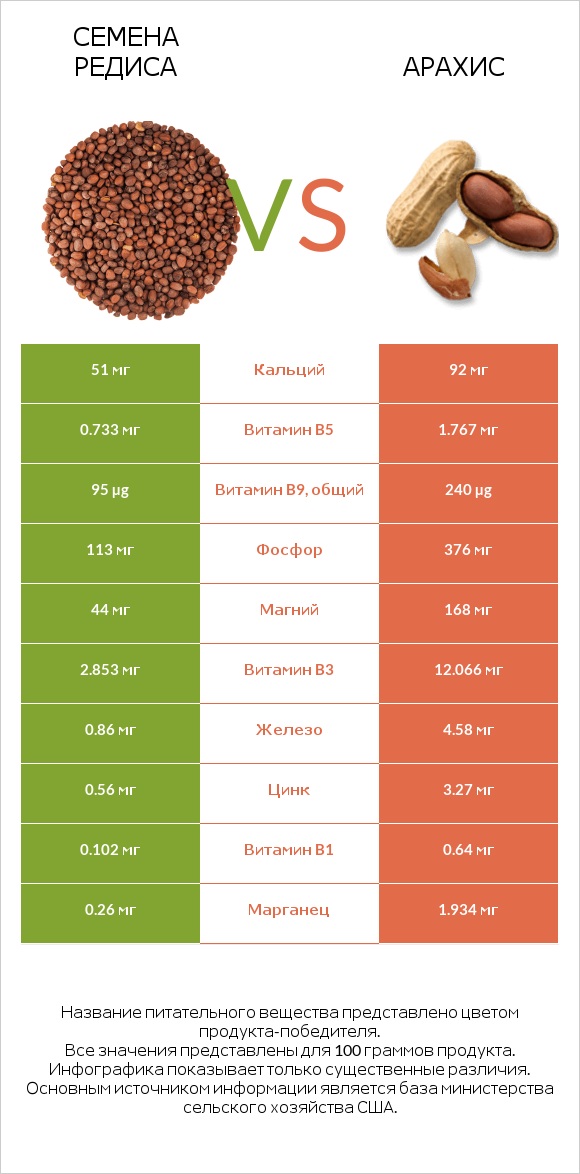 Семена редиса vs Арахис infographic