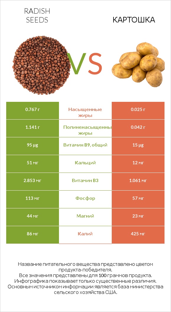 Radish seeds vs Картошка infographic
