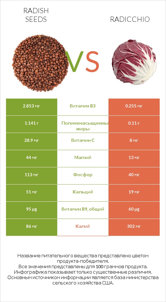 Radish seeds vs Radicchio infographic
