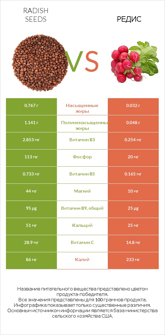 Radish seeds vs Редис infographic