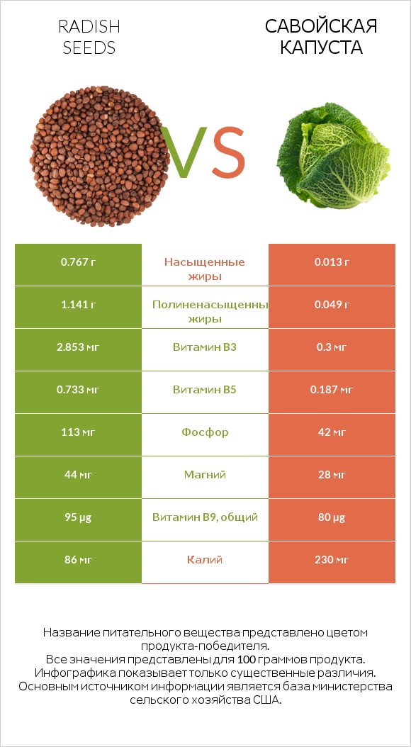 Radish seeds vs Савойская капуста infographic