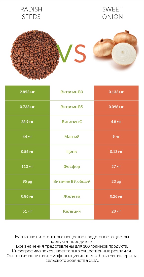 Radish seeds vs Sweet onion infographic
