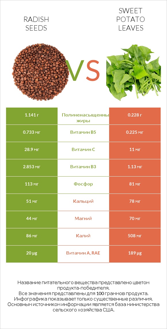 Radish seeds vs Sweet potato leaves infographic