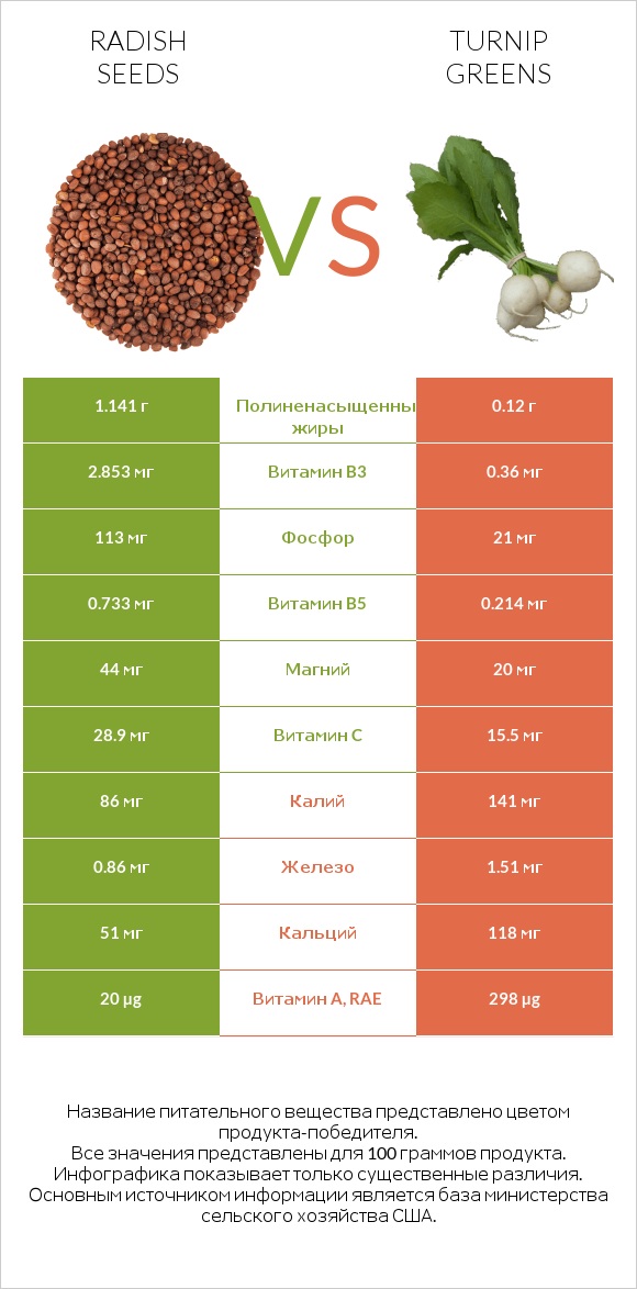 Radish seeds vs Turnip greens infographic