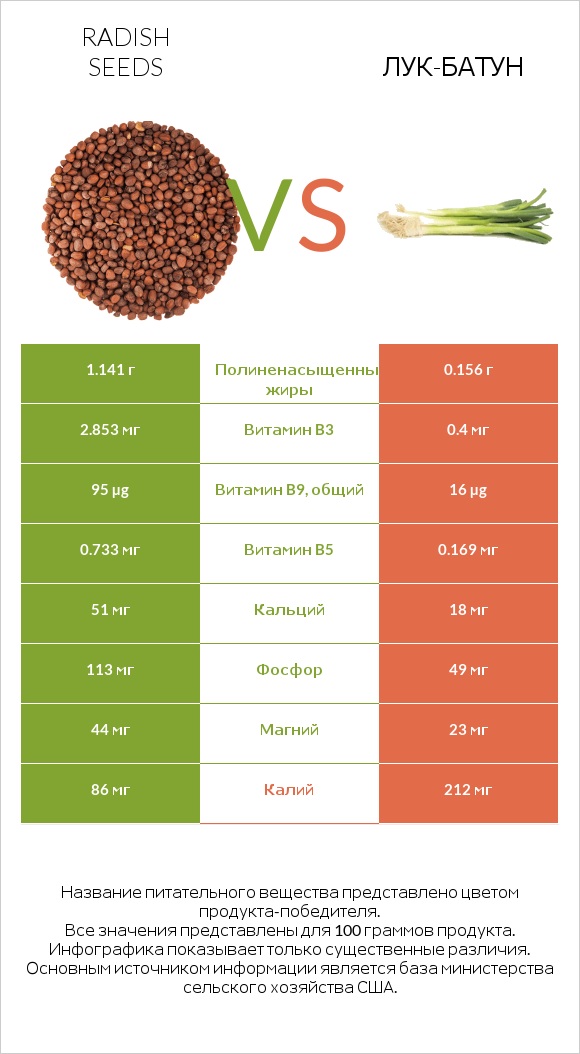 Radish seeds vs Лук-батун infographic