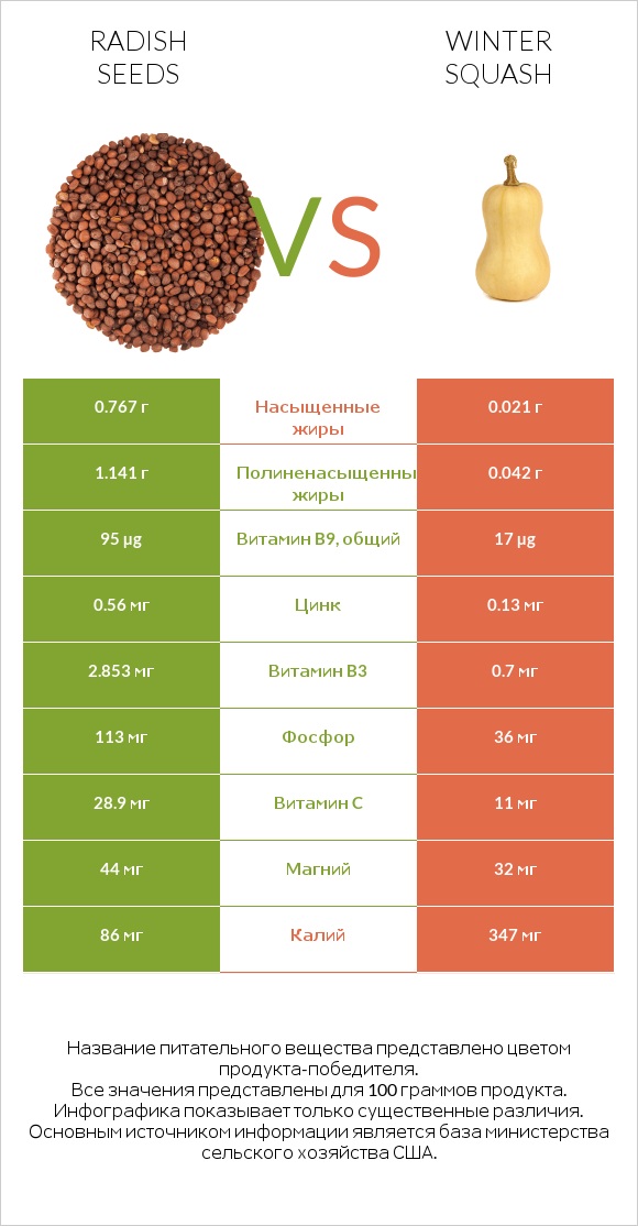 Radish seeds vs Winter squash infographic